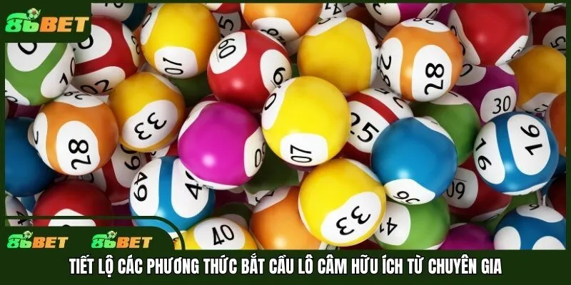 Tiết lộ các phương thức bắt cầu lô câm hữu ích từ chuyên gia